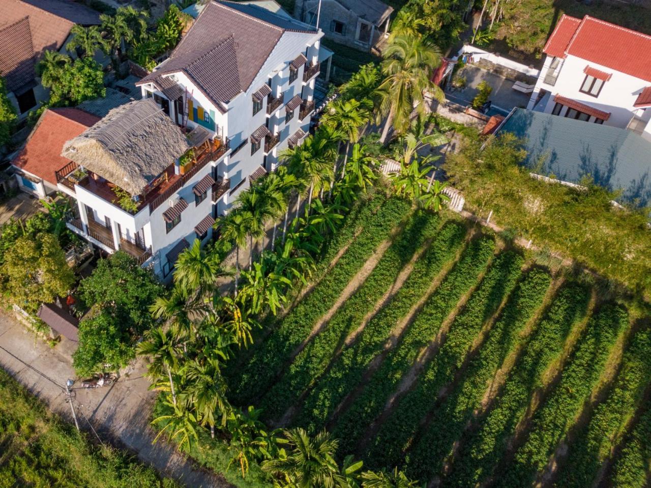 The Bau Bi Retreat Διαμέρισμα Χόι Αν Εξωτερικό φωτογραφία
